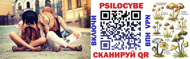Галлюциногенные грибы Psilocybe  Купить  Семилуки 
